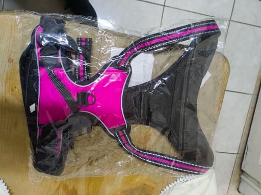 Customer photo review of Dog Collars Harness Big Vests Leash Pet Shop Everything for Dogs Leather Puppy Accessories Medium Small Set
