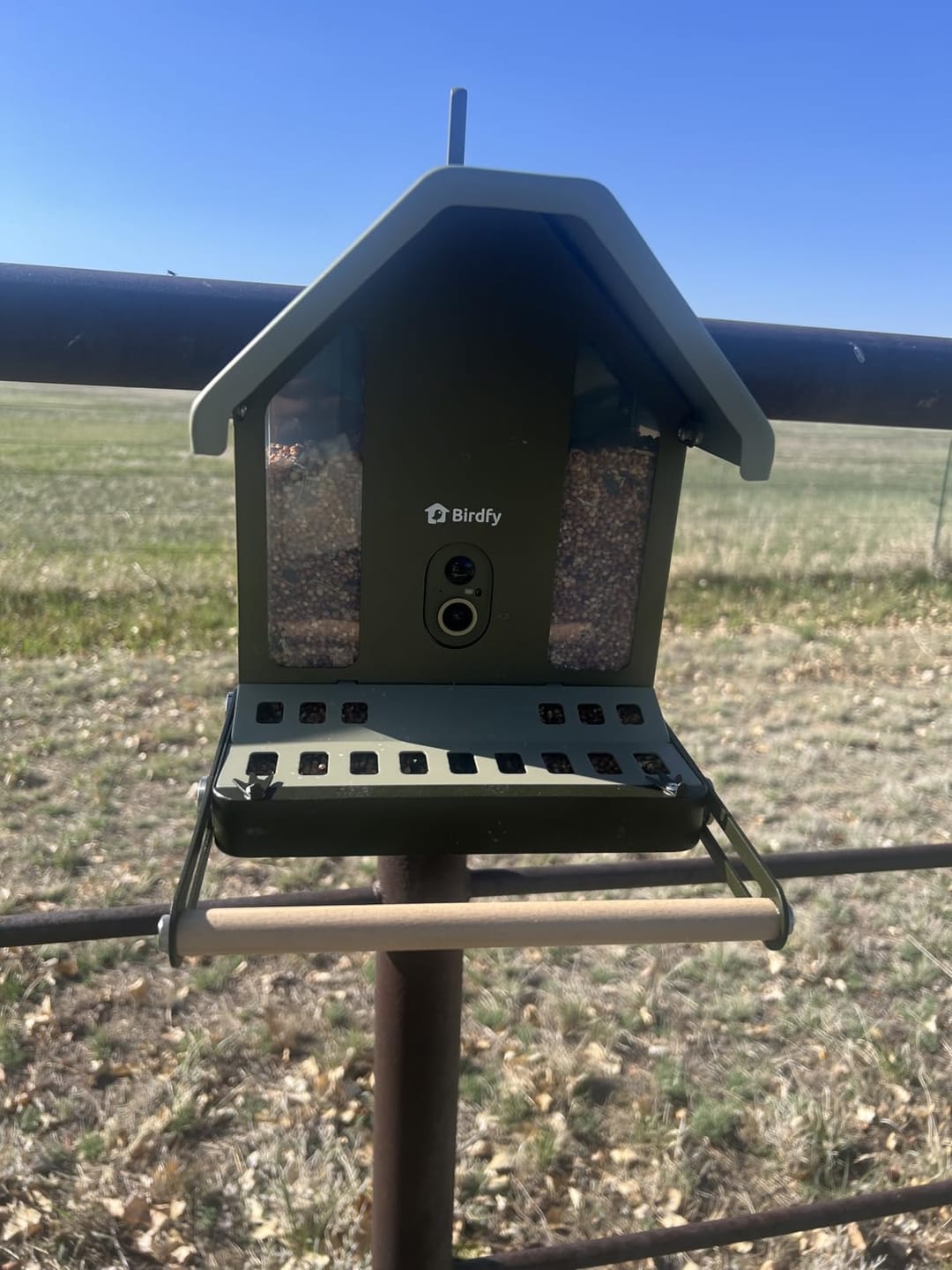 Customer photo review of Birdfy Feeder Metal 2 4K - Smart Metal Feeder with Camera