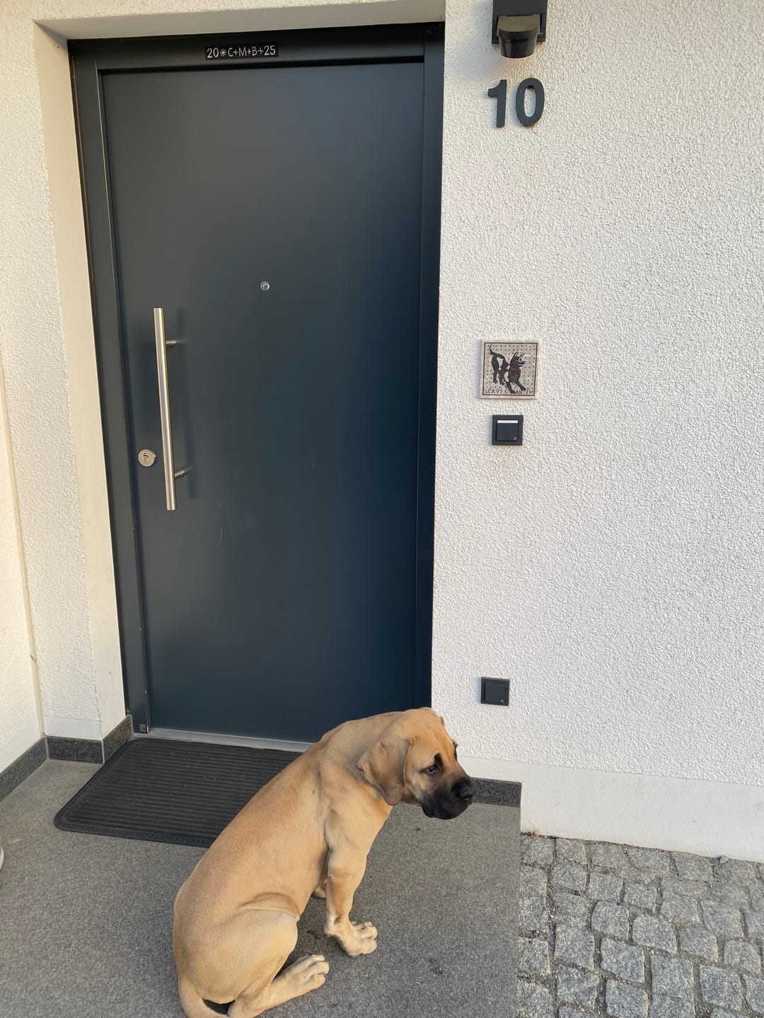 Customer photo review of Piastrella Cave Canem Pompei