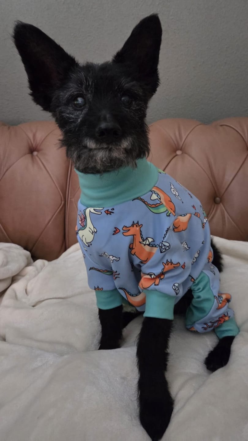 Customer photo review of Dog Pajama - Dragons