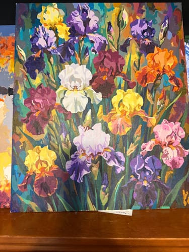 Customer photo review of Colorful Iris Garden (80 Colors)