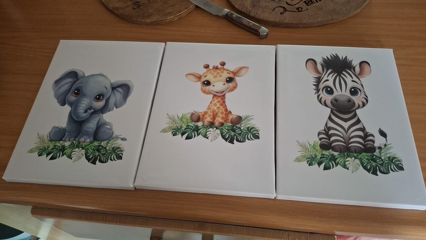 Customer photo review of 3 x A4 Canvas Combo