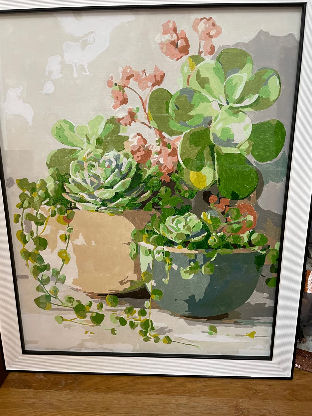Customer photo review of Spring Succulents | Paint by Number