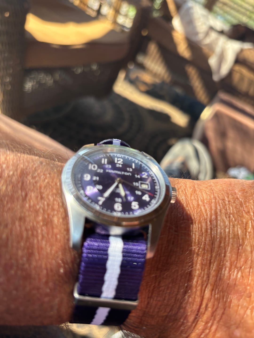 Customer photo review of AlphaShark - Iguana