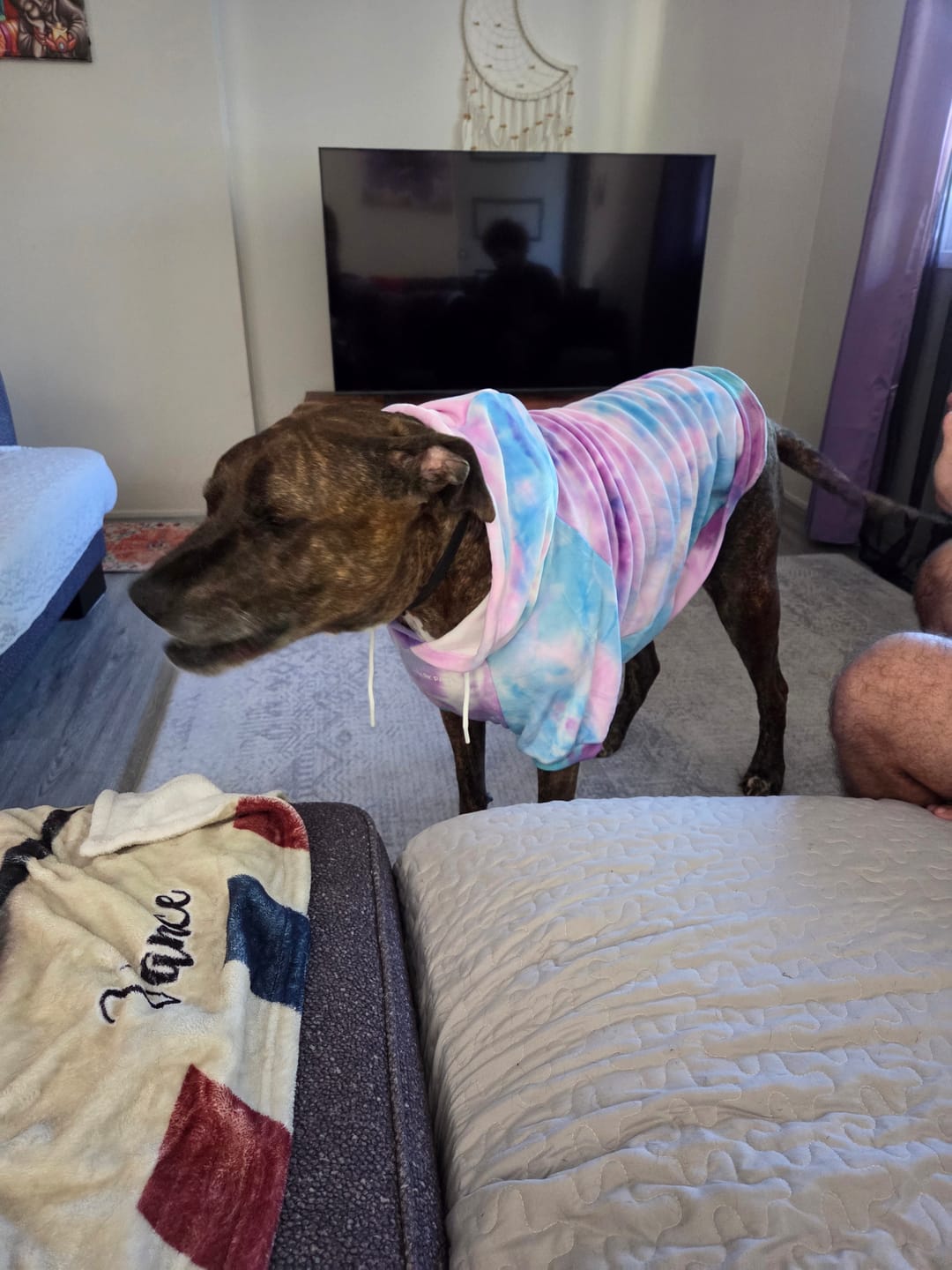 Customer photo review of Velvet Dog Hoodie - 90s Retro