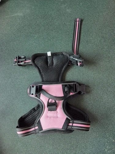 Customer photo review of Dog Collars Harness Big Vests Leash Pet Shop Everything for Dogs Leather Puppy Accessories Medium Small Set