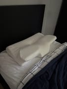 Customer photo review of The Dozy Pillow™