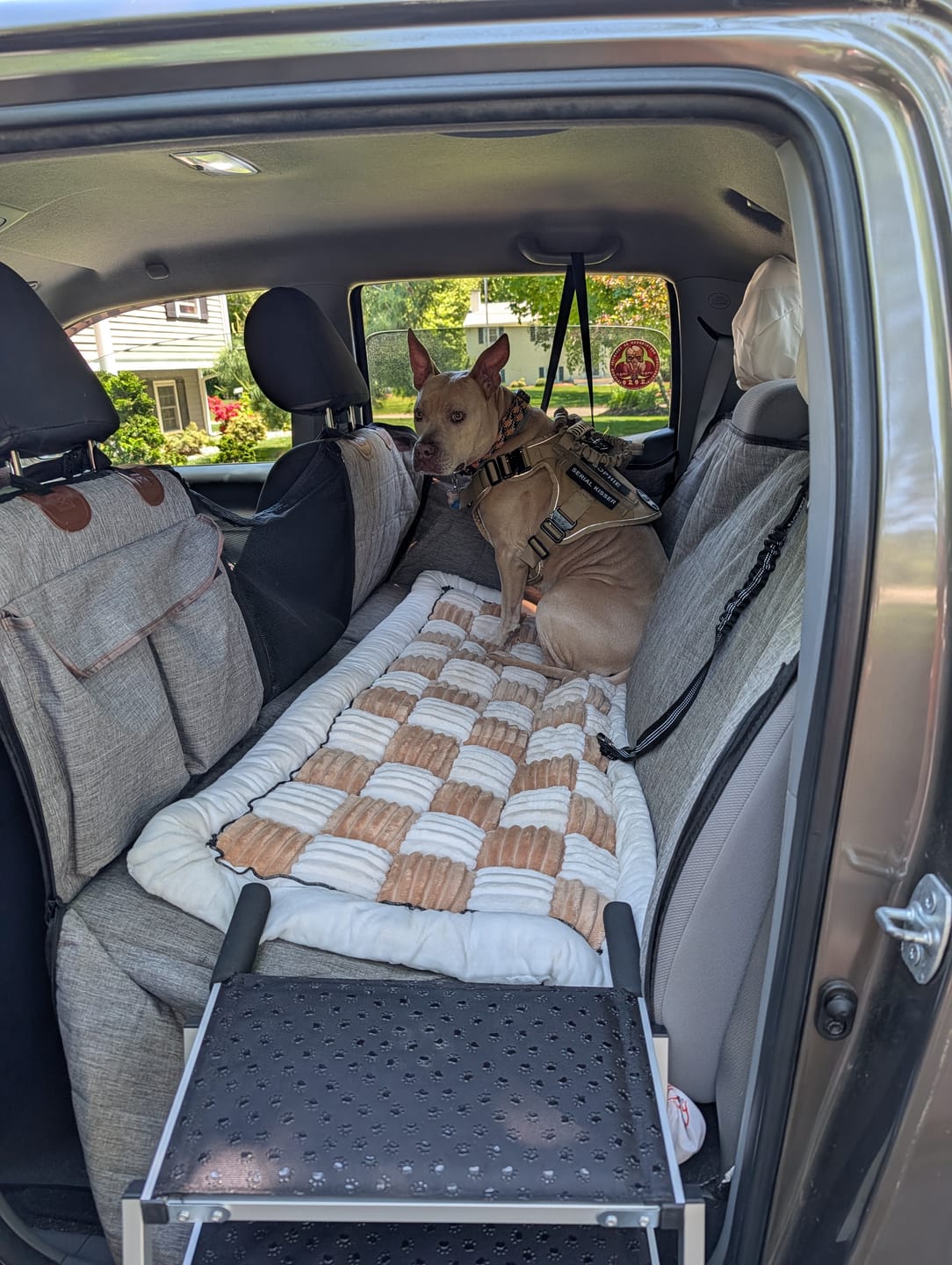 Customer photo review of Plush Backseat Dog Bed (Made For The Hard Bottom Car Seat Cover)