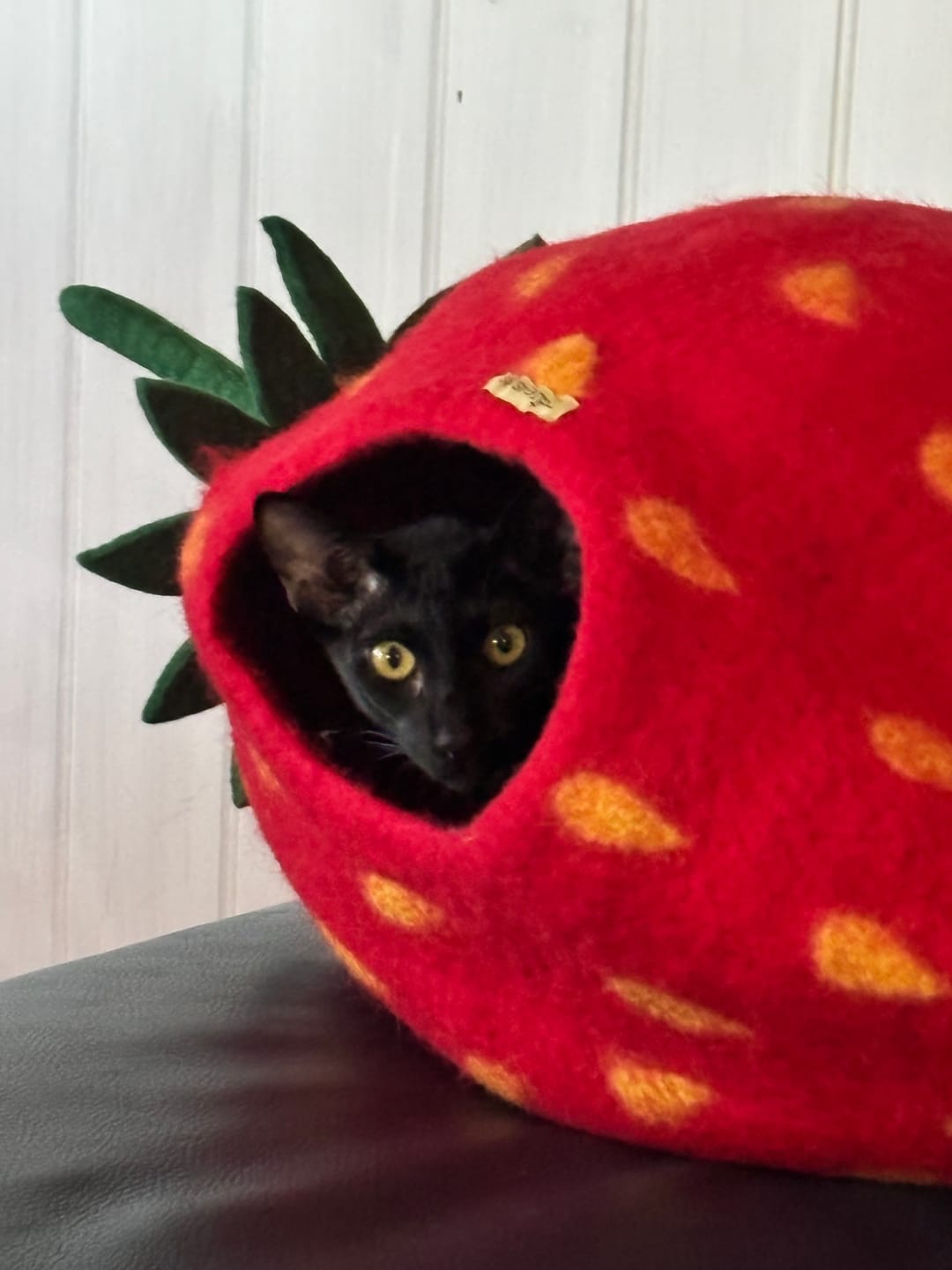 Customer photo review of Felt Mouse Toy for Cats