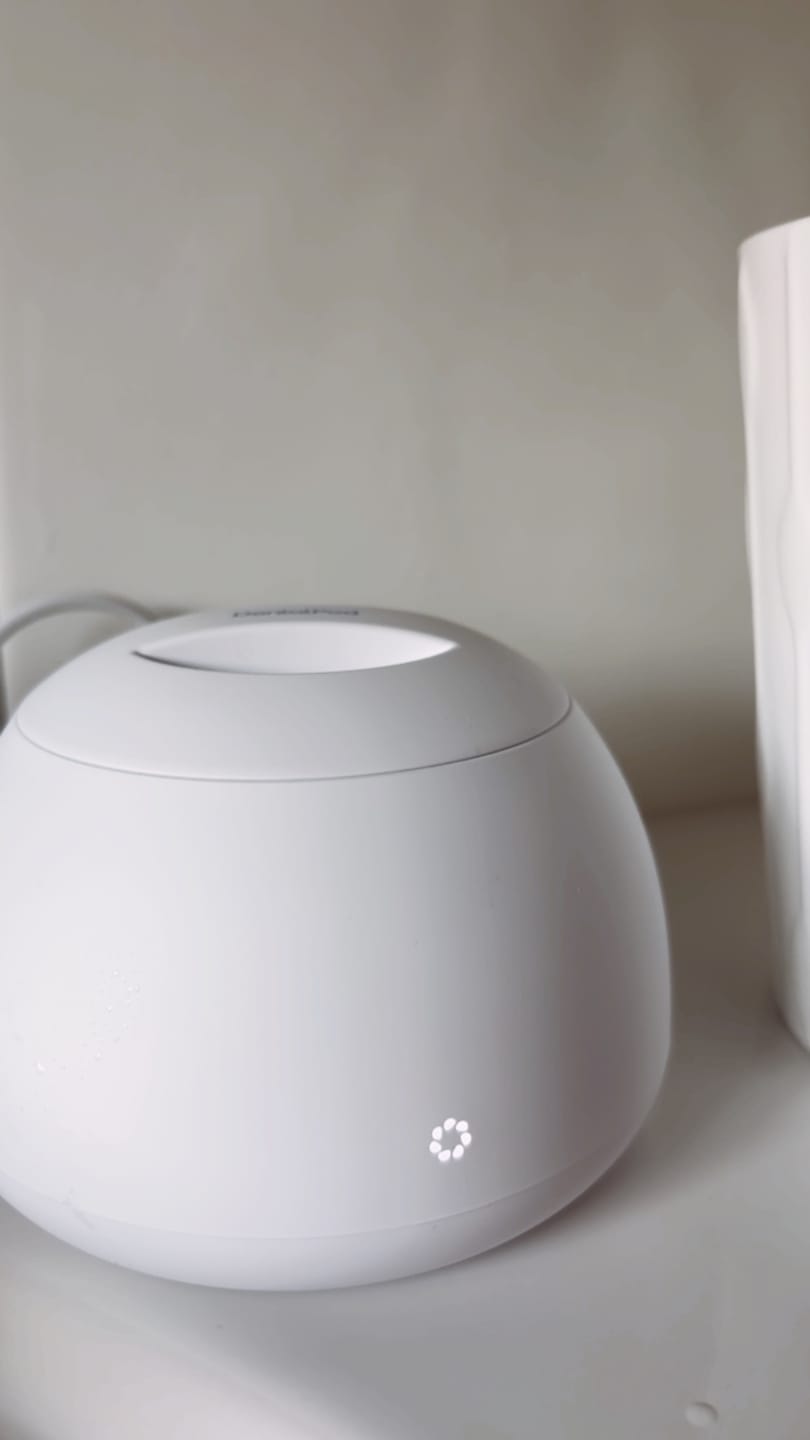 Customer photo review of Dental Pod