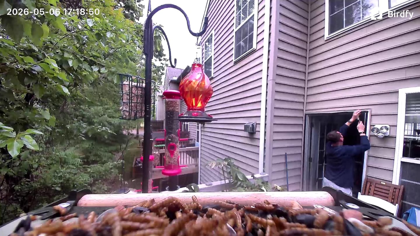 Customer photo review of Birdfy Feeder Metal 2 4K - Smart Metal Feeder with Camera