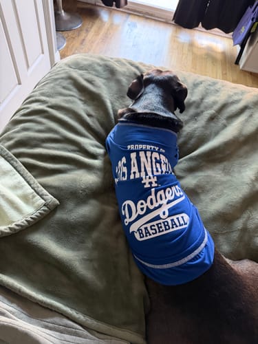 Customer photo review of Build Your Own DTF Gang Sheet