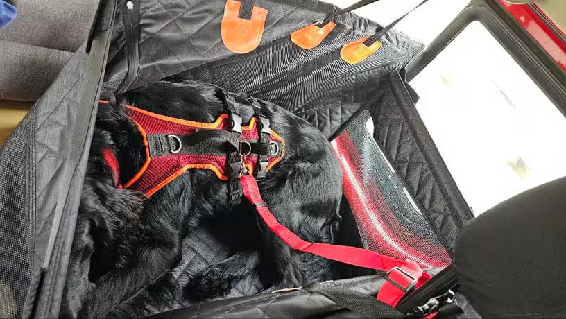 Customer photo review of WanderPup Comfort Dog Travel Seat - Large