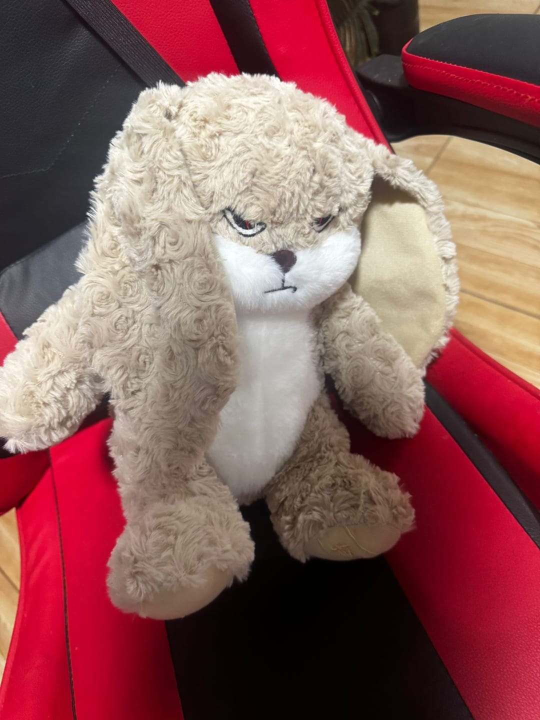 Customer photo review of Peluche tierno y enojado