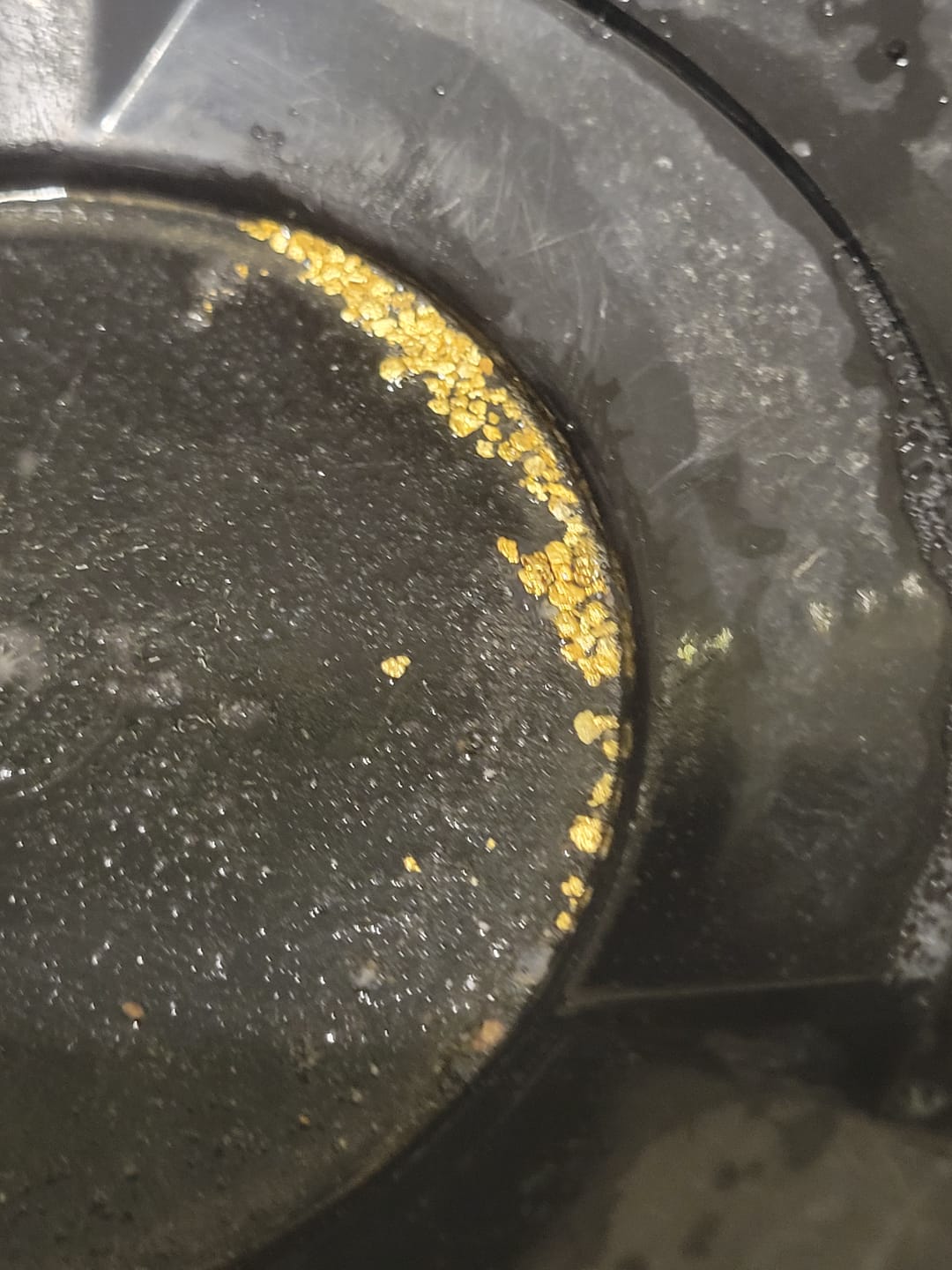 Customer photo review of Dream Mat Pocket Sluice Kit with Bering Sea Gold Paydirt | Gold Prospecting Equipment