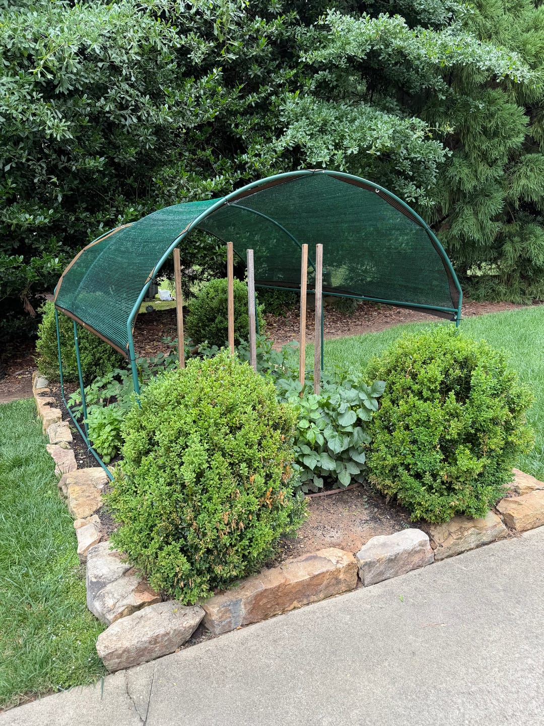 Customer photo review of 40% Shade Cloth