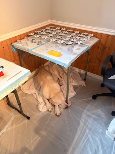 Customer photo review of Unfinished Wood Paw Print Shape - Pet Craft - up to 46"