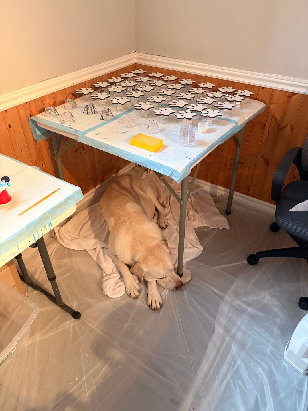 Customer photo review of Unfinished Wood Paw Print Shape - Pet Craft - up to 46"