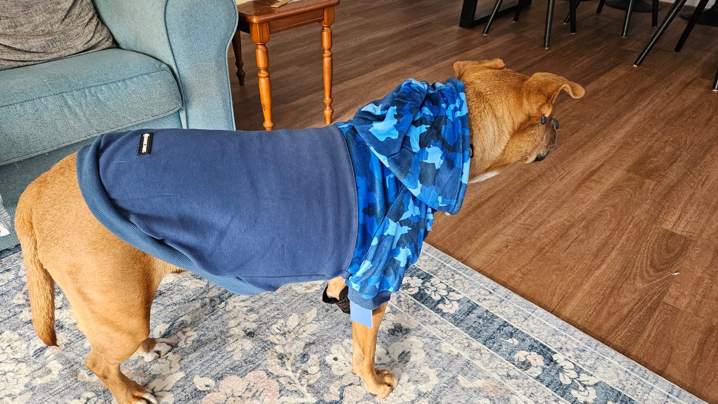 Customer photo review of Blue Camo Dog Hoodie