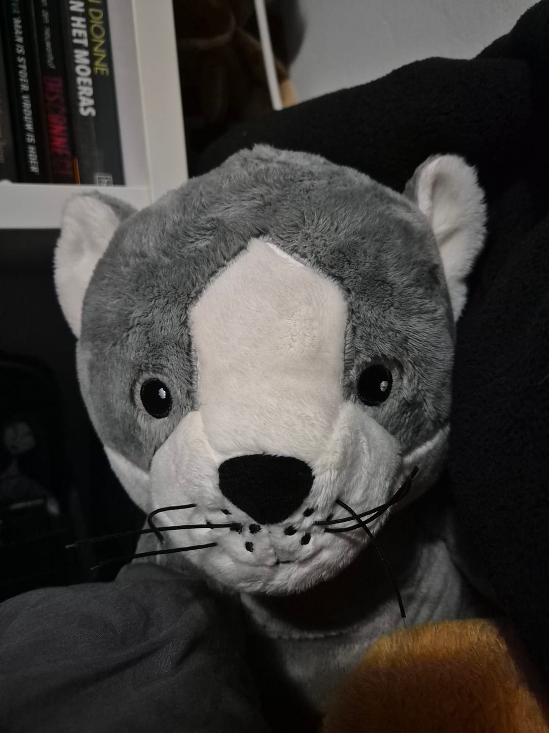 Customer photo review of Lotgenootje Kat 2kg