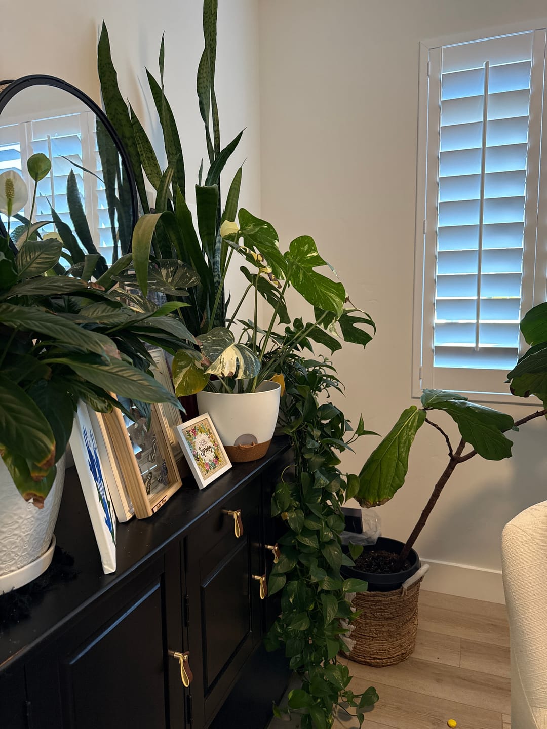 Customer photo review of Plant Food
