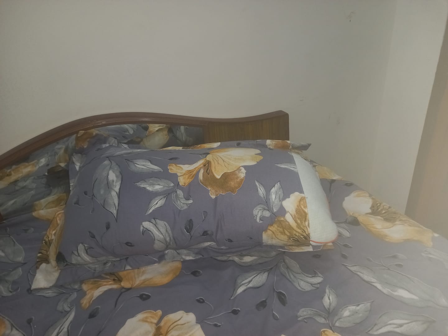 Customer photo review of Flo Adjustable Pillow (Fibre)