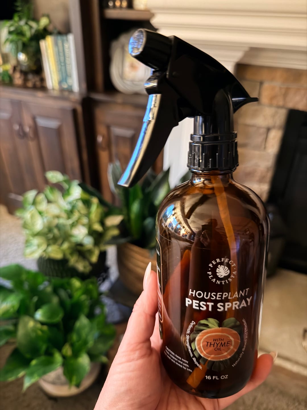 Customer photo review of Houseplant Pest Spray