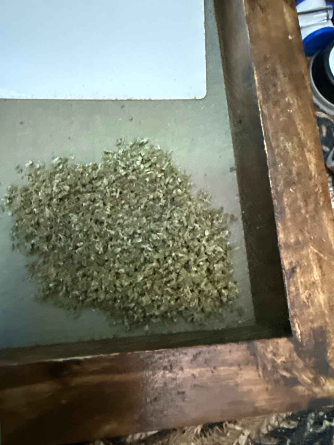 Customer photo review of Blue Dream - 28 Grams - Sativa