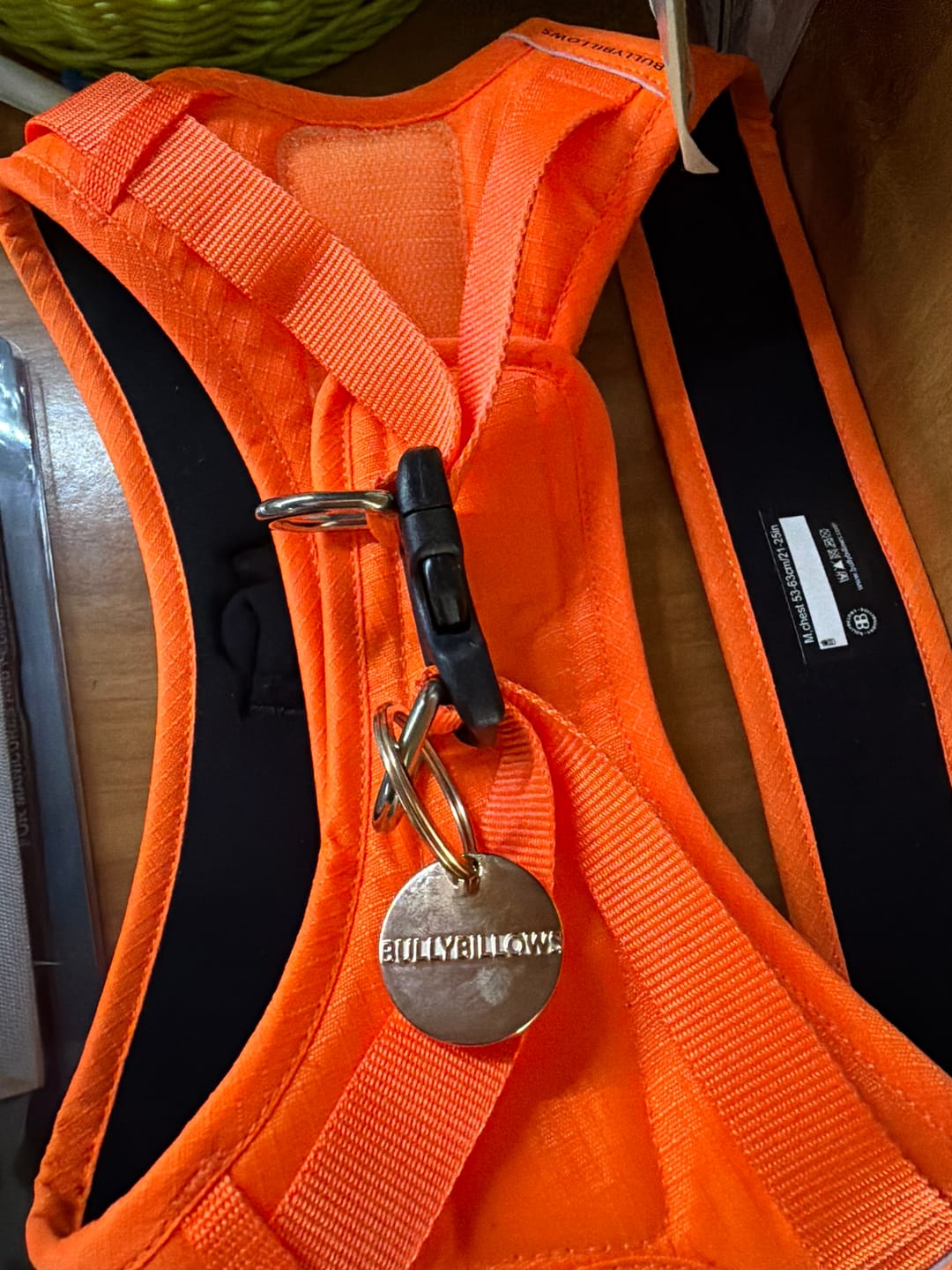 Customer photo review of Dog ID Tag - Rose Gold (With Gift Box)