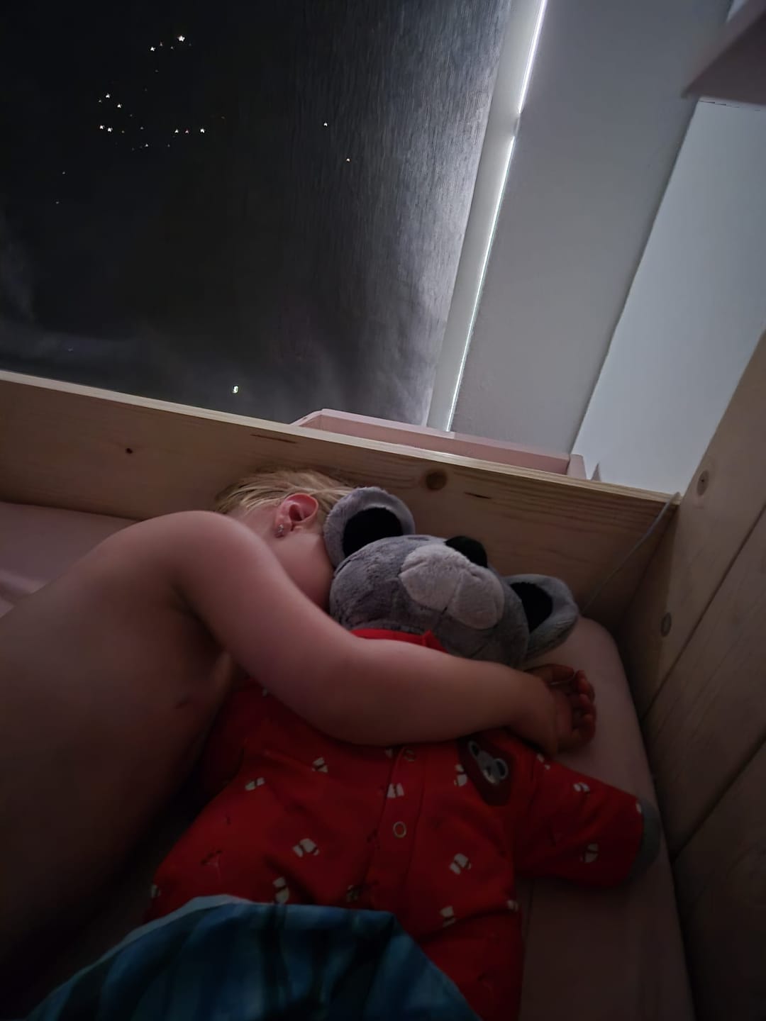 Customer photo review of Lotgenootje Koala 2kg