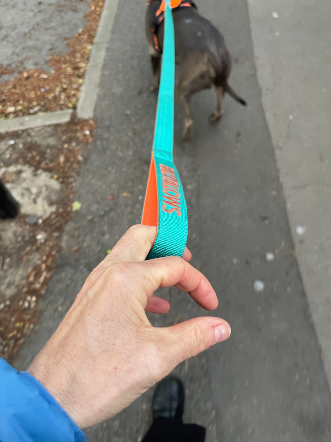 Customer photo review of 1.4m Lighter Swivel Combat Lead | Anti-Tangle & Secure Clip - Turquoise x Orange