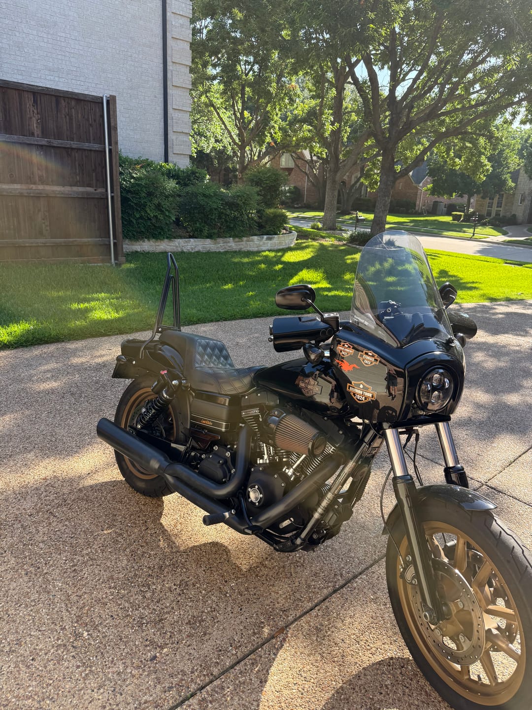 Customer photo review of Iron Born Blade 25" Sissy Bar with Foldable Luggage Rack for Harley Dyna Wide Glide FXDWG/I Matte Black