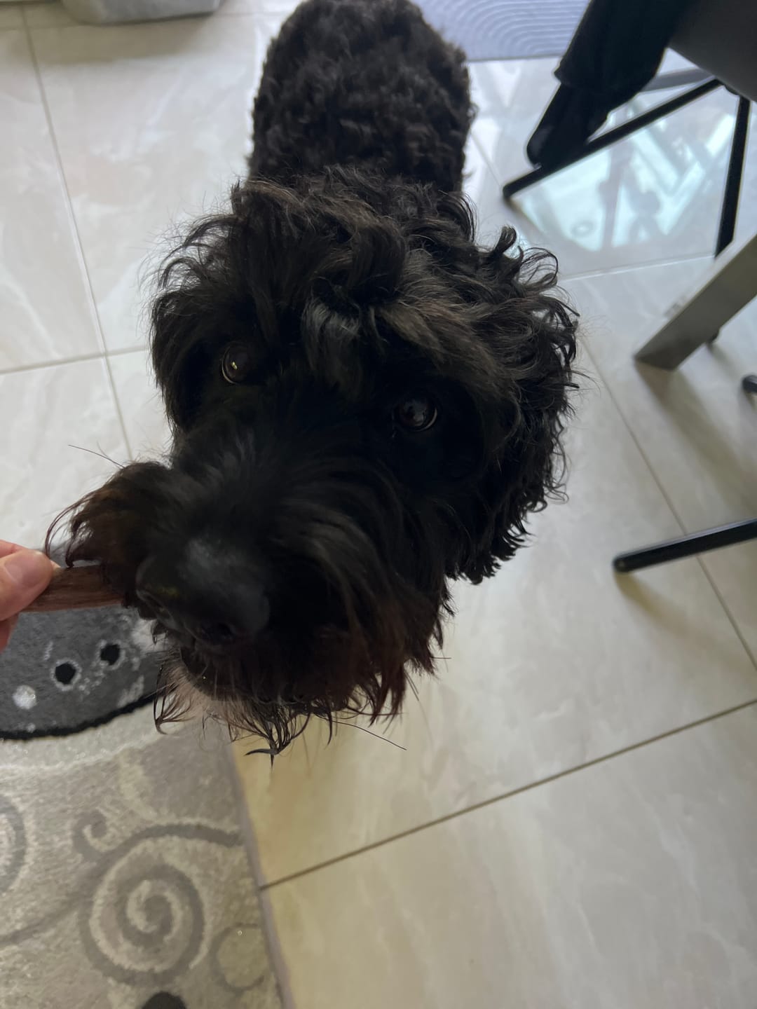 Customer photo review of Kräuter Dentals für Hunde zur Zahn- und Darmpflege (150g)