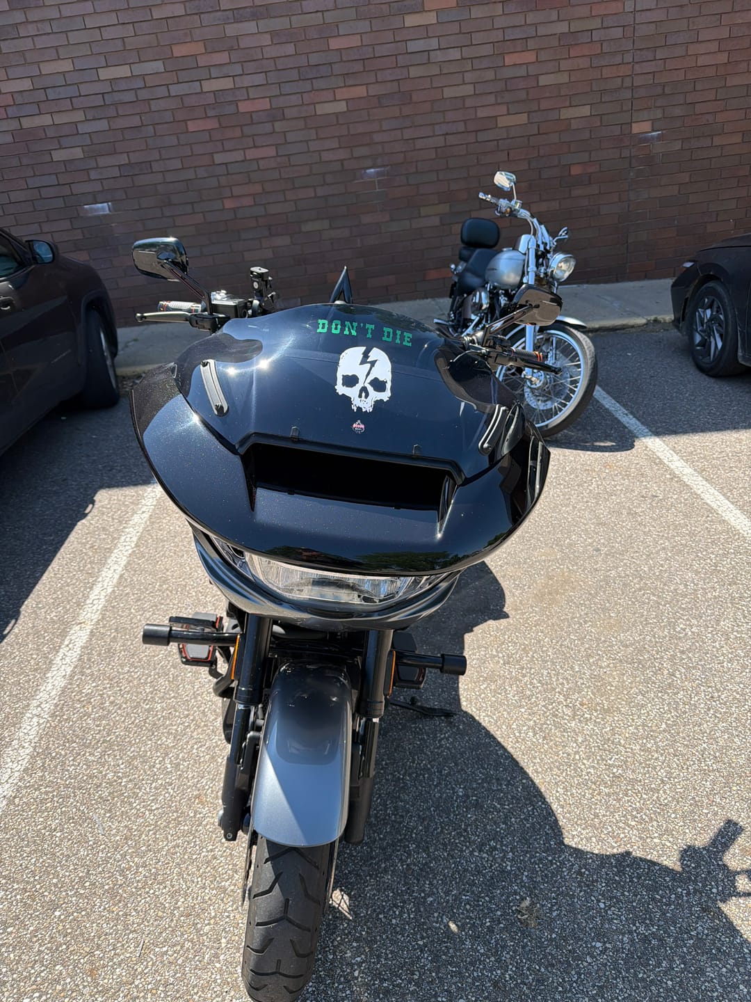 Customer photo review of SKULL LOGO DECAL MEDIUM