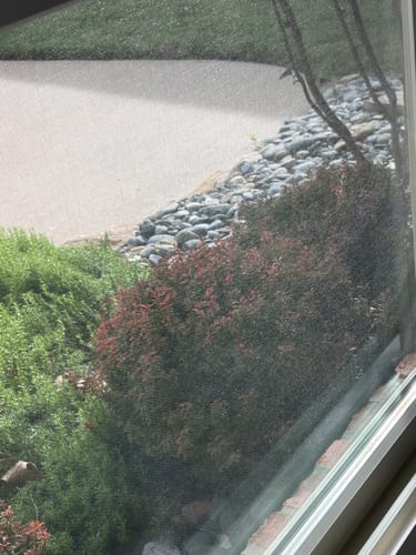 Customer photo review of LibertyCloth – the USA Favorite Window & Glass Door Cleaning Cloth (24x16 Inches)