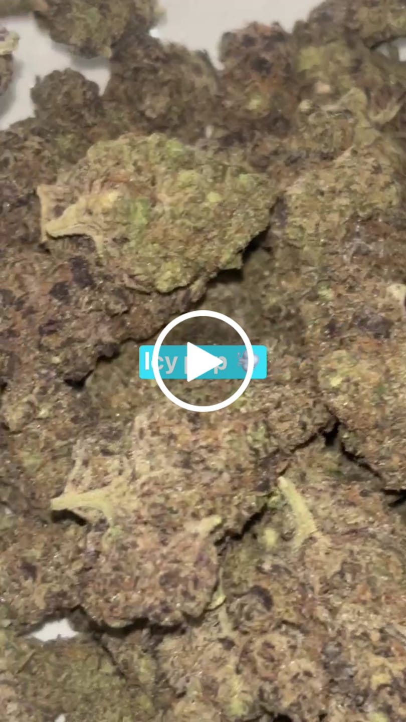 Customer video review of Icy Pop Indoor - Bulk - Hybrid