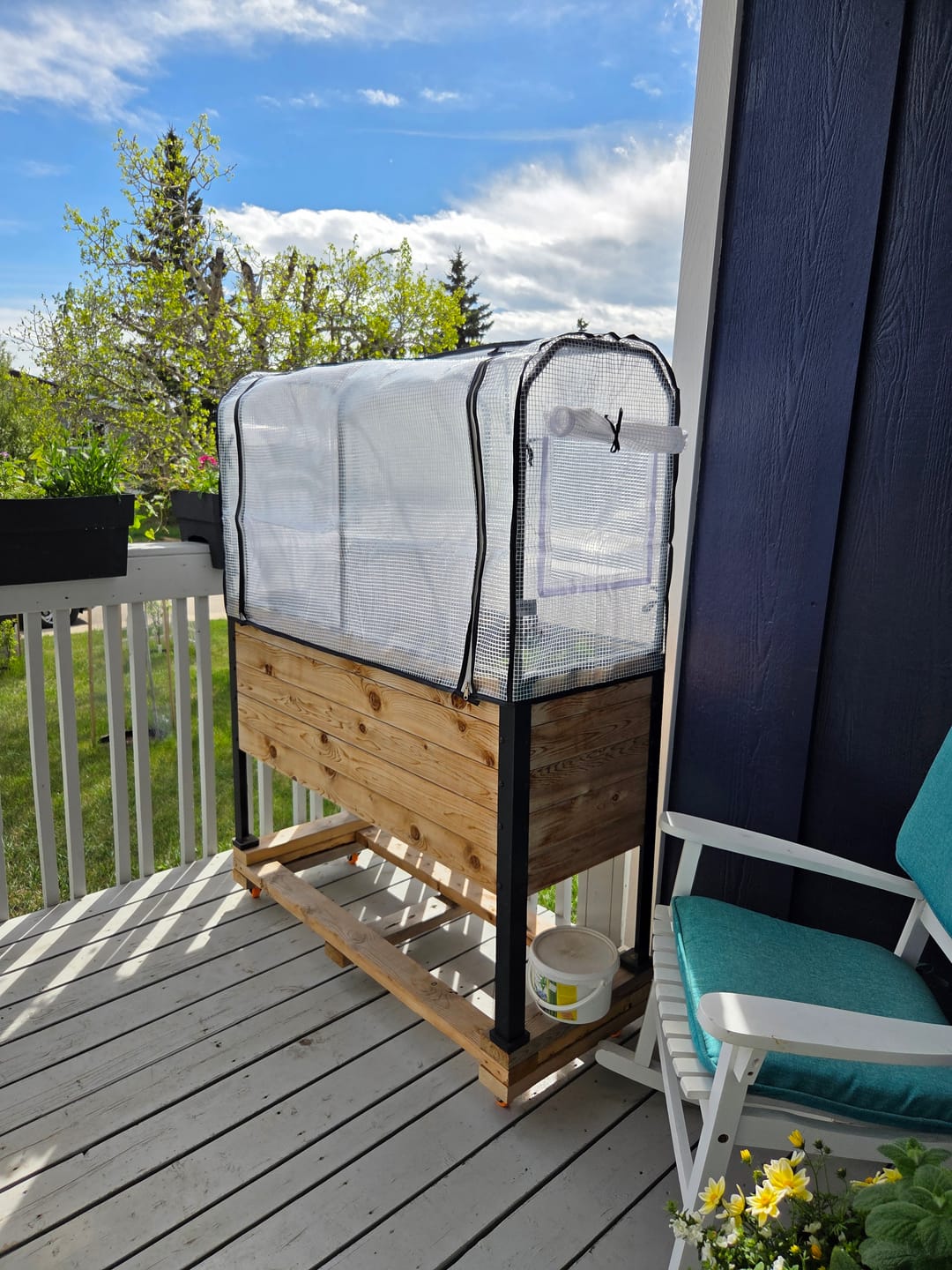 Customer photo review of Greenhouse Cover