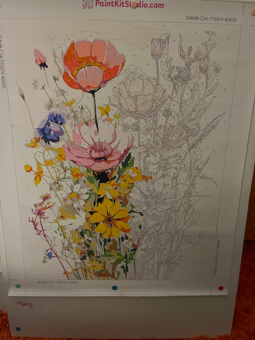 Customer photo review of Wildflower Meadow