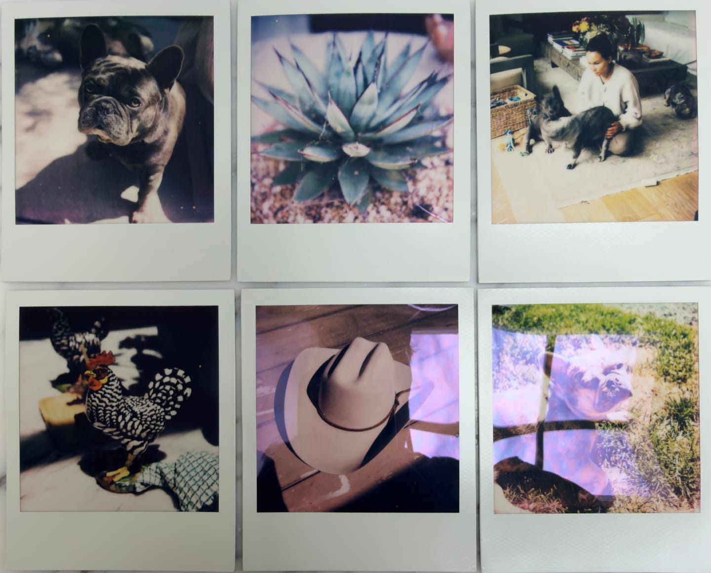 Customer photo review of Polaroid SX-70 Folding Camera Repair (Non-Autofocus Models)