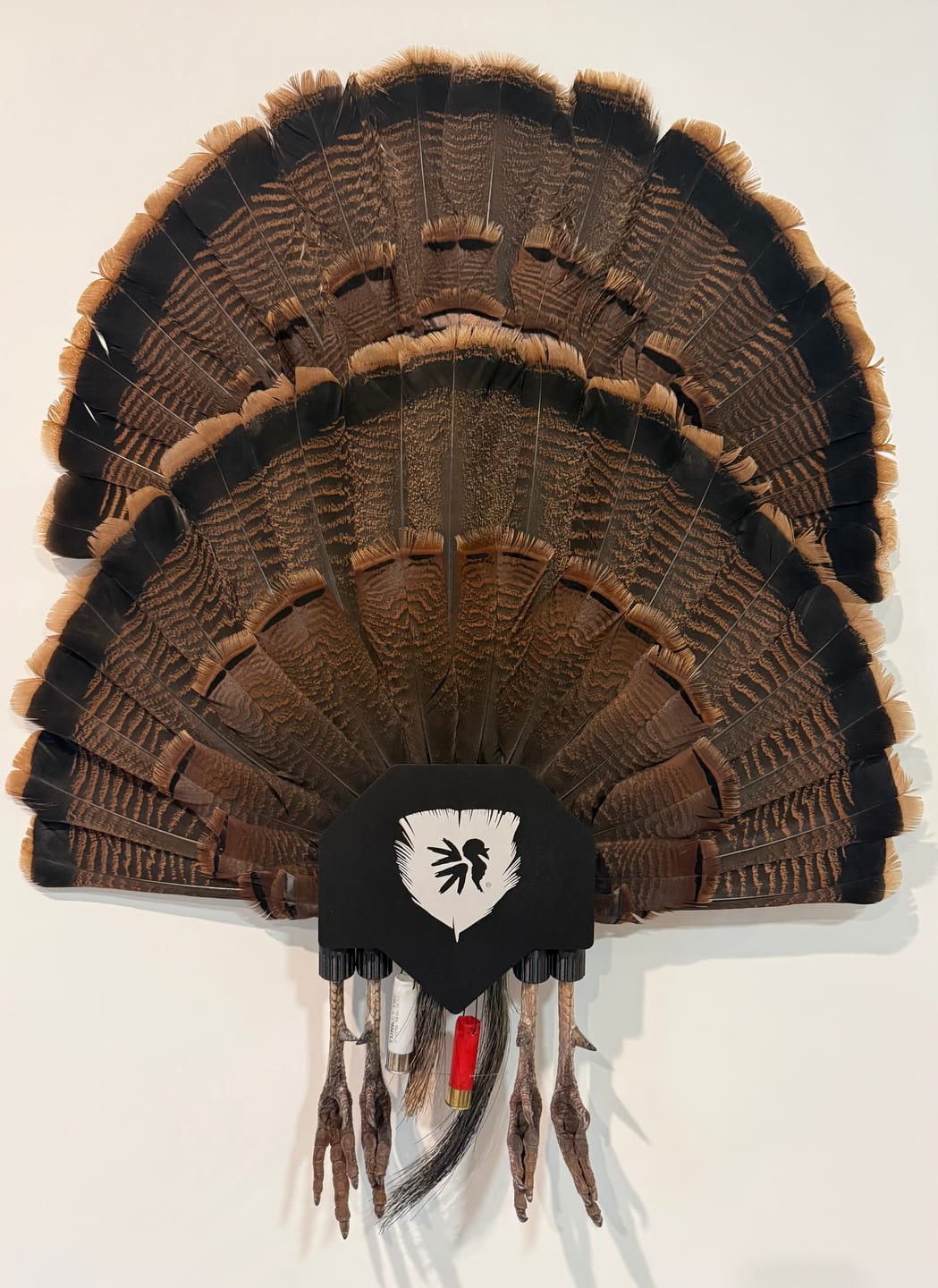 Customer photo review of FeatherLok | Turkey Mount