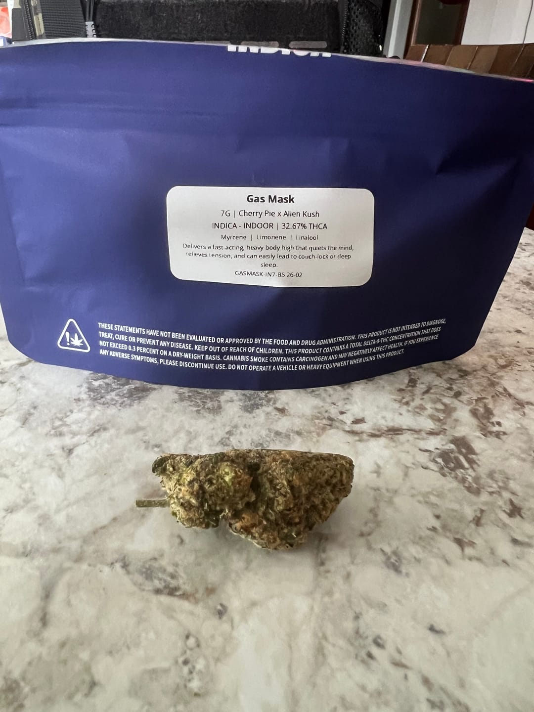 Customer photo review of Gas Mask
