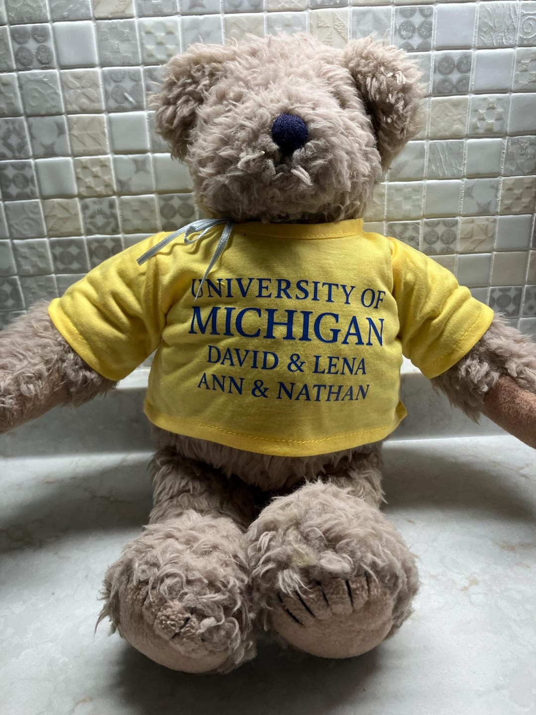 Customer photo review of Custom Plushie T‑Shirt — Fits 16in Stuffed Animals, Personalized Photo & Text, Toy Clothing