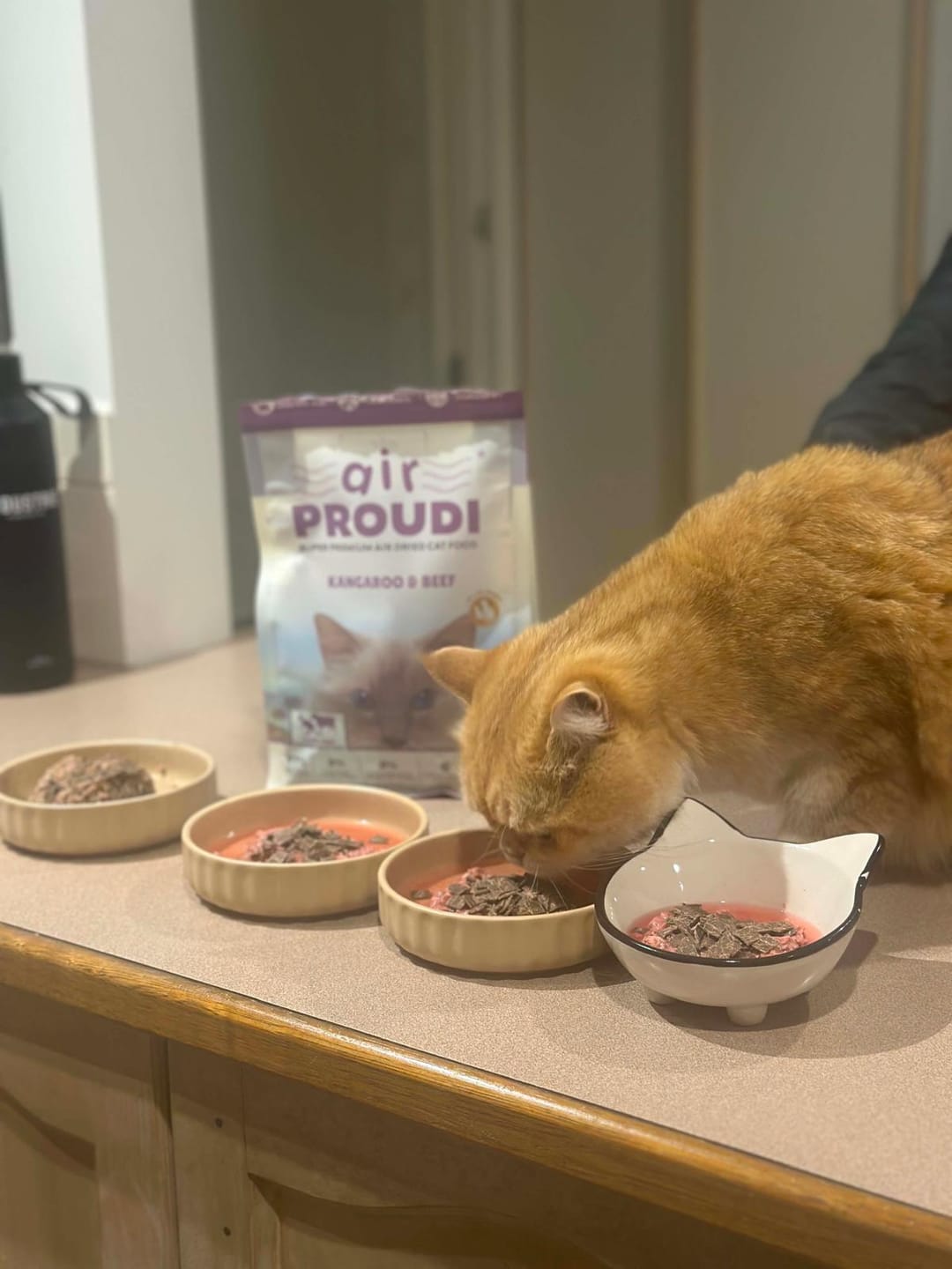 Customer photo review of Kangaroo & Beef Air Dried - for Cats