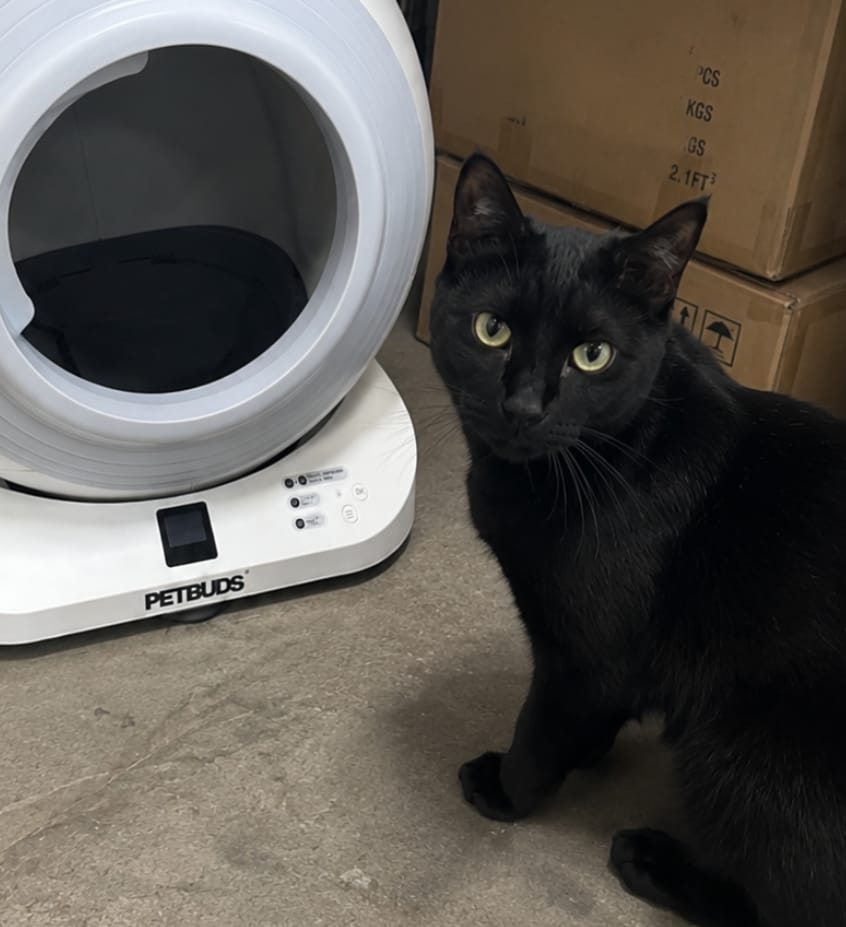 Customer photo review of The Petbuds Tonepie Q-CLEAN Automatic Self-Cleaning Litter Box