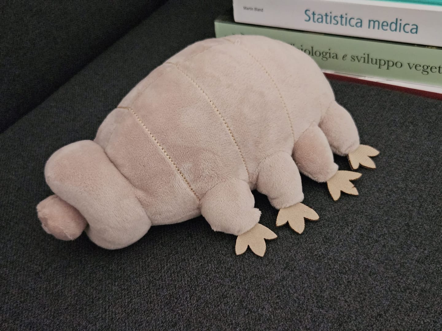 Customer photo review of Tardigrade Water Bear Soft Stuffed Plush Toy