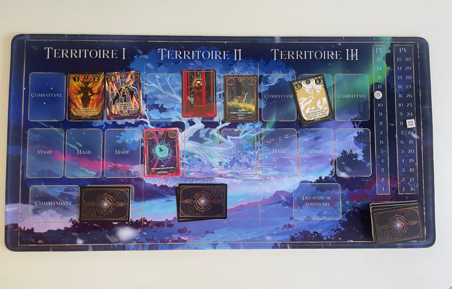 Customer photo review of Tapis de jeu Nuit Blanche