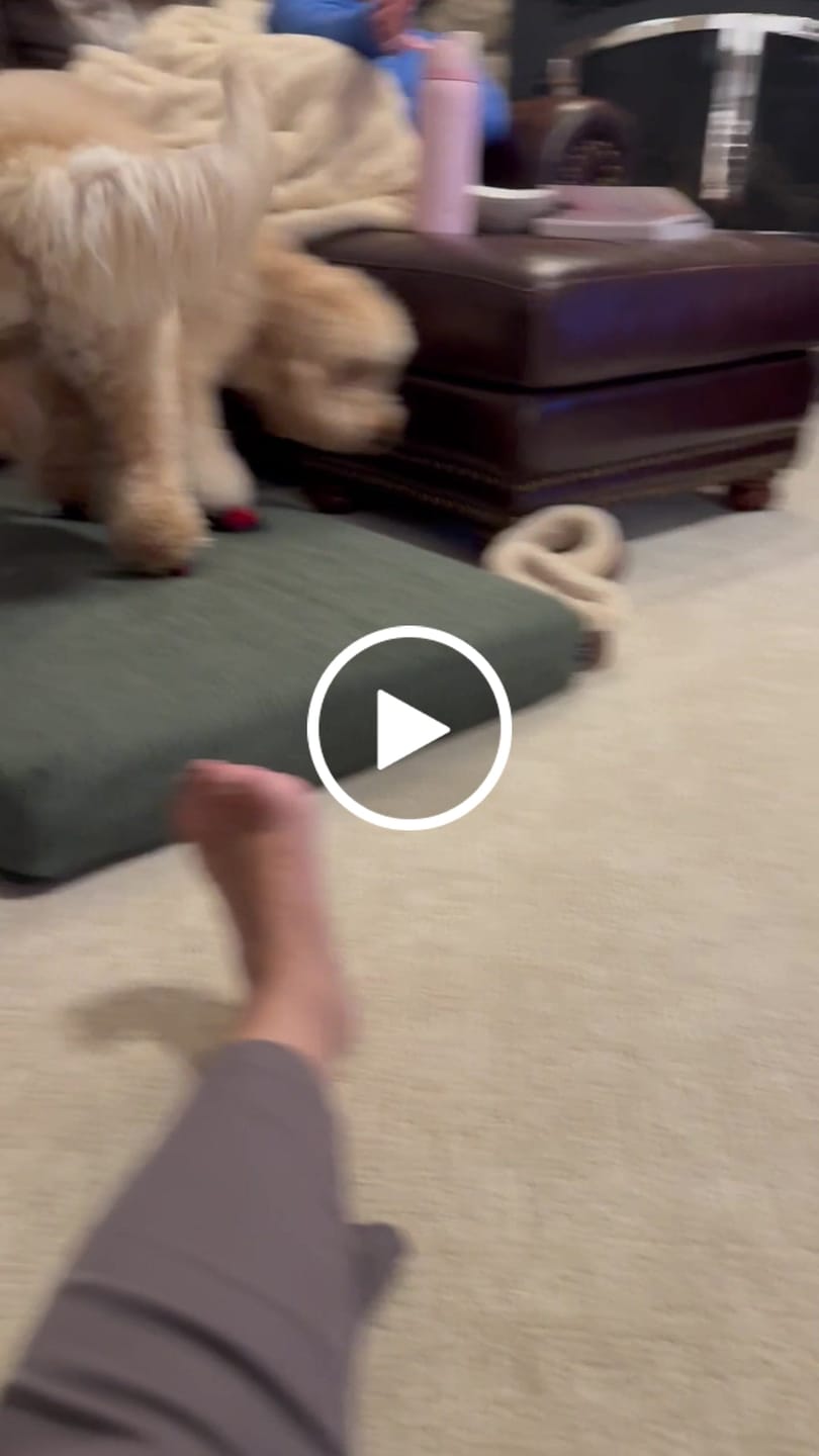 Customer video review of AIR PUP DOG SHOES - SET OF 4