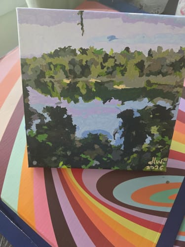 Customer photo review of Custom Paint by Numbers