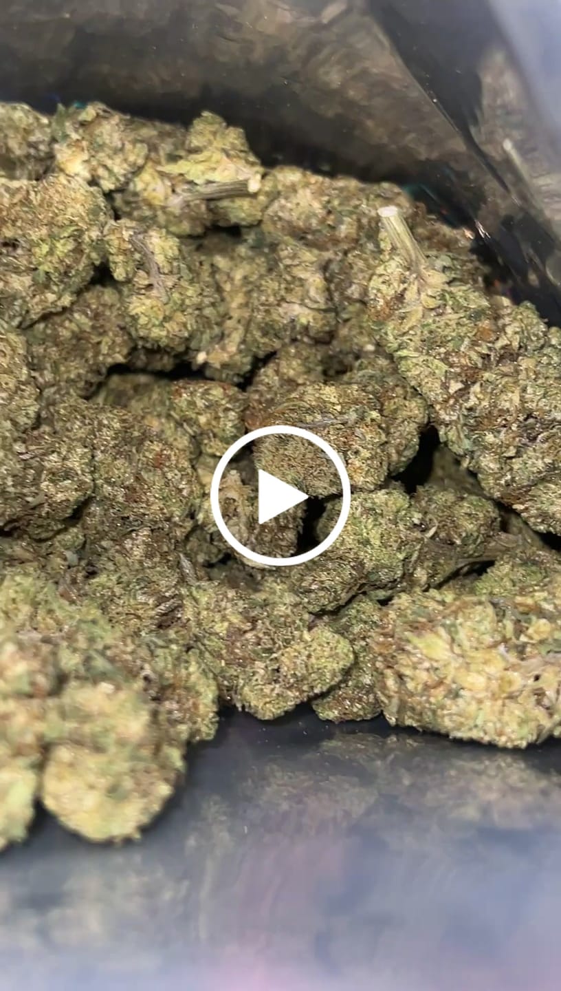 Customer video review of Horchata Gas - Bulk - Hybrid