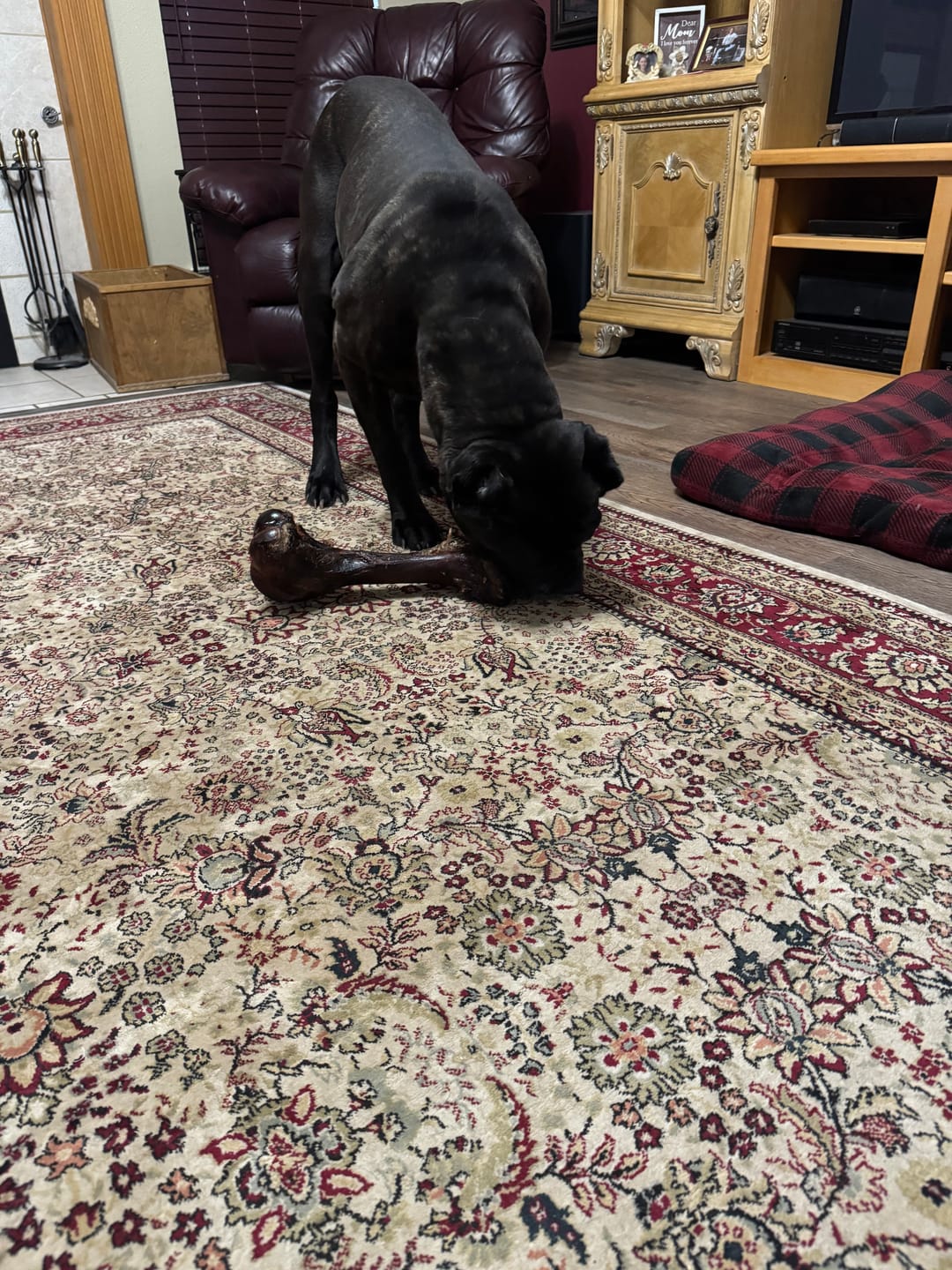 Customer photo review of Smoked Dinosaur Bones